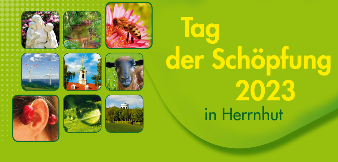 Tag_der_Schoepfung_Kopf_1