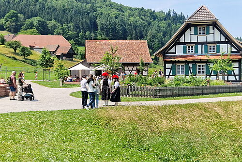 Schwarzwald-Idylle Vogstbauernhöfe in Gutach