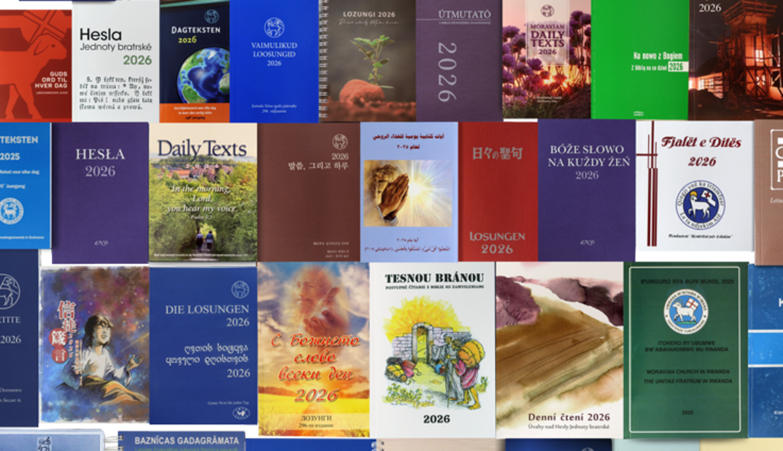 Gruppenbild mit Covern von Losungen aus aller Welt