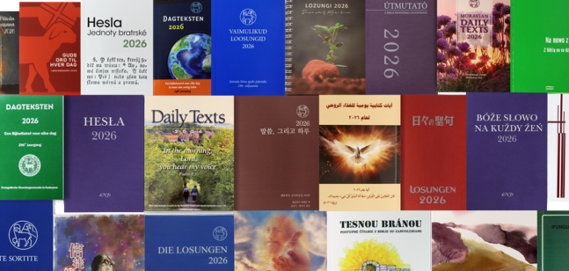 Gruppenbild mit Covern von Losungen aus aller Welt