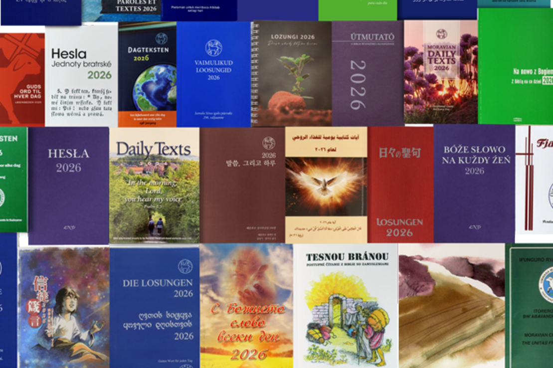 Gruppenbild mit Covern von Losungen aus aller Welt