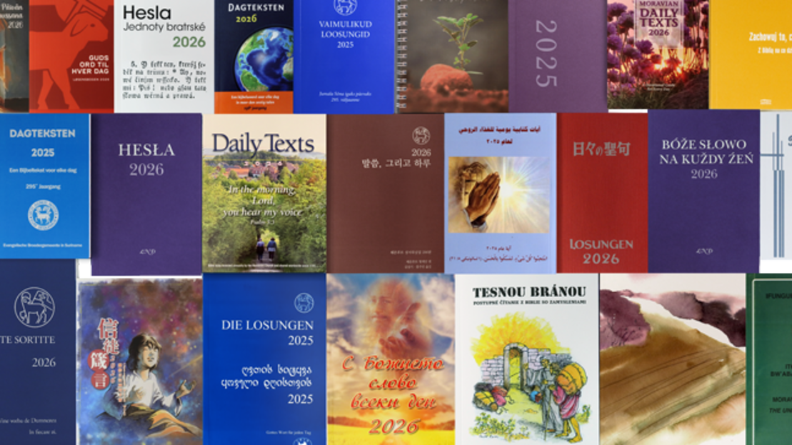 Gruppenbild mit Covern von Losungen aus aller Welt