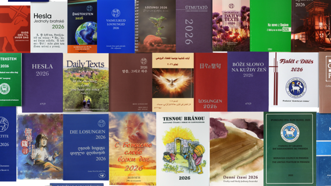 Gruppenbild mit Covern von Losungen aus aller Welt