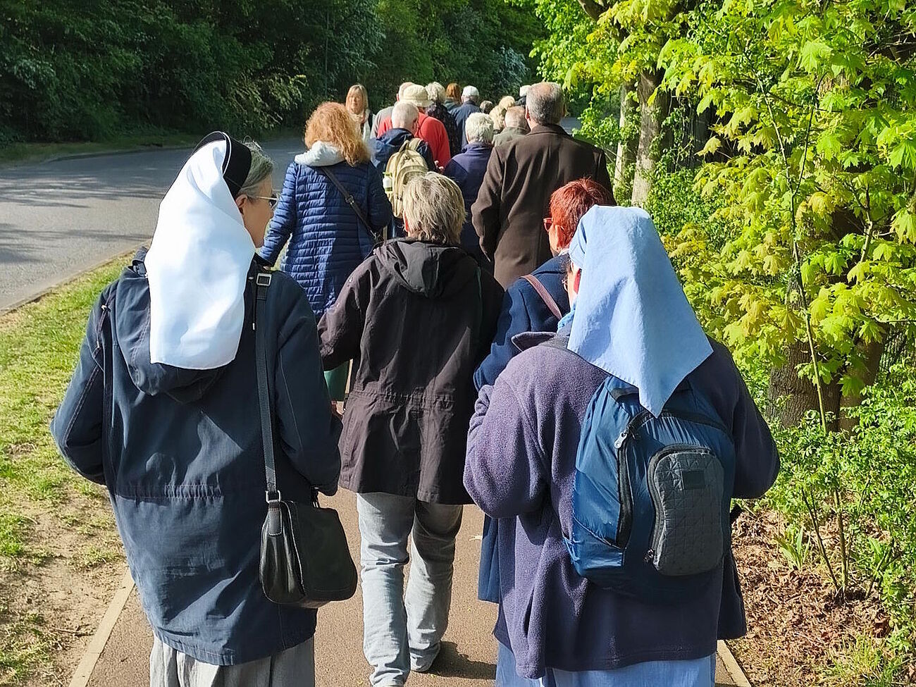 Die Teilnehmenden laufen von hinten fotografiert, während sie laufen