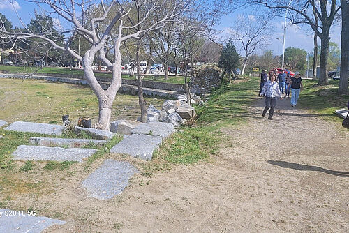 ein paar Steine und Wiese