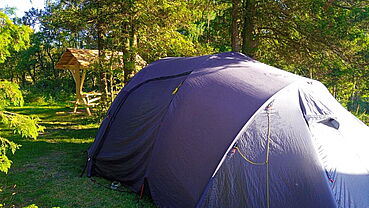 Campen_-_Campen_zwischen_Sternen_und_Weihnachtsbaeumen