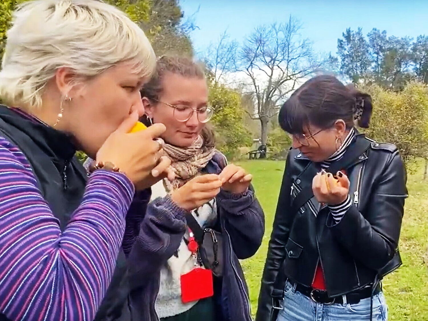 Zitronenessen_Video