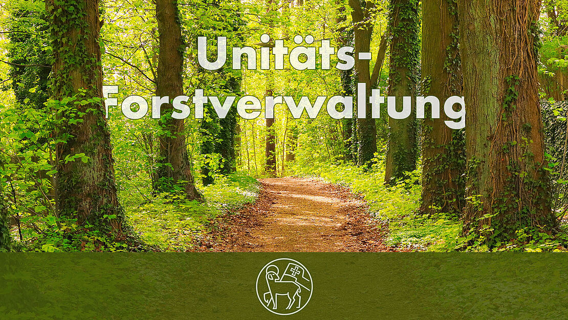 Waldweg mit Schriftzug "Unitäts-Forst" im Vordergrund