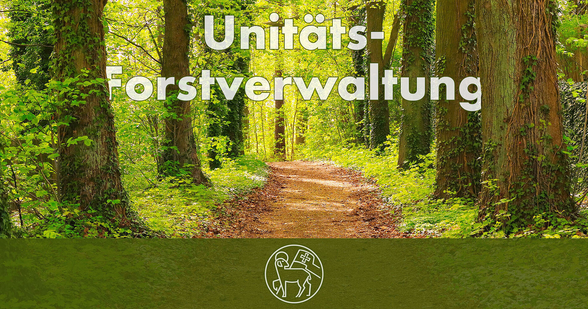 Forst_Kopfbild