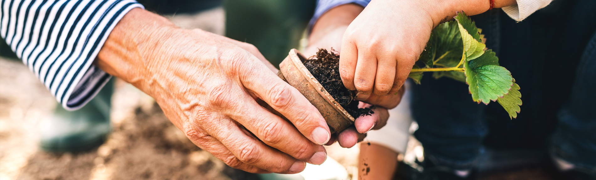 Freiwilligendienst_Kopfbild