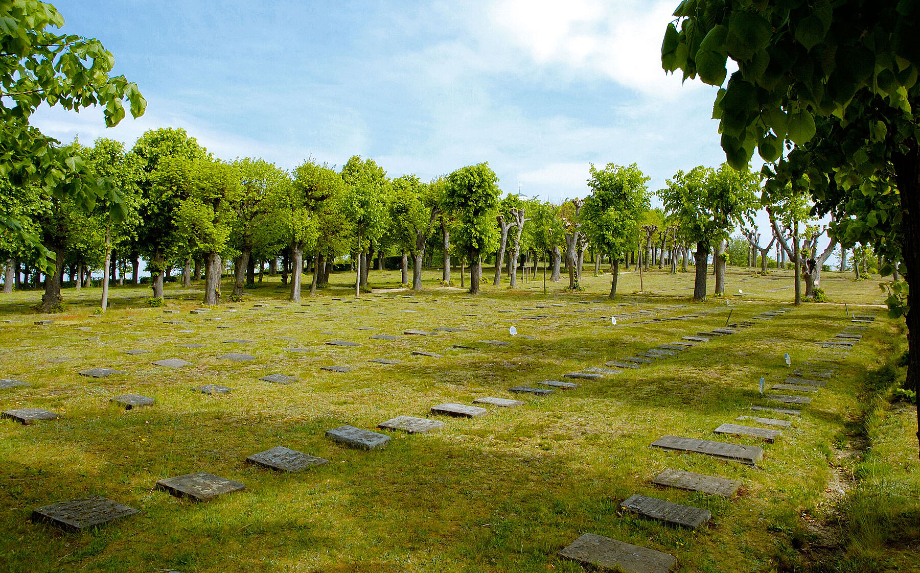 Herrnhut_Gottesacker_Graeberfeld_1