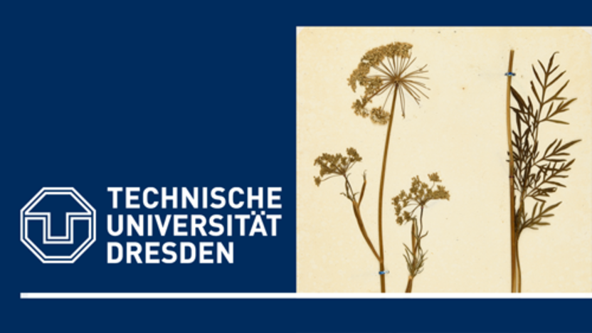 Link zum BMBF-Verbundprojekt Naturforschung & protestantische Mission