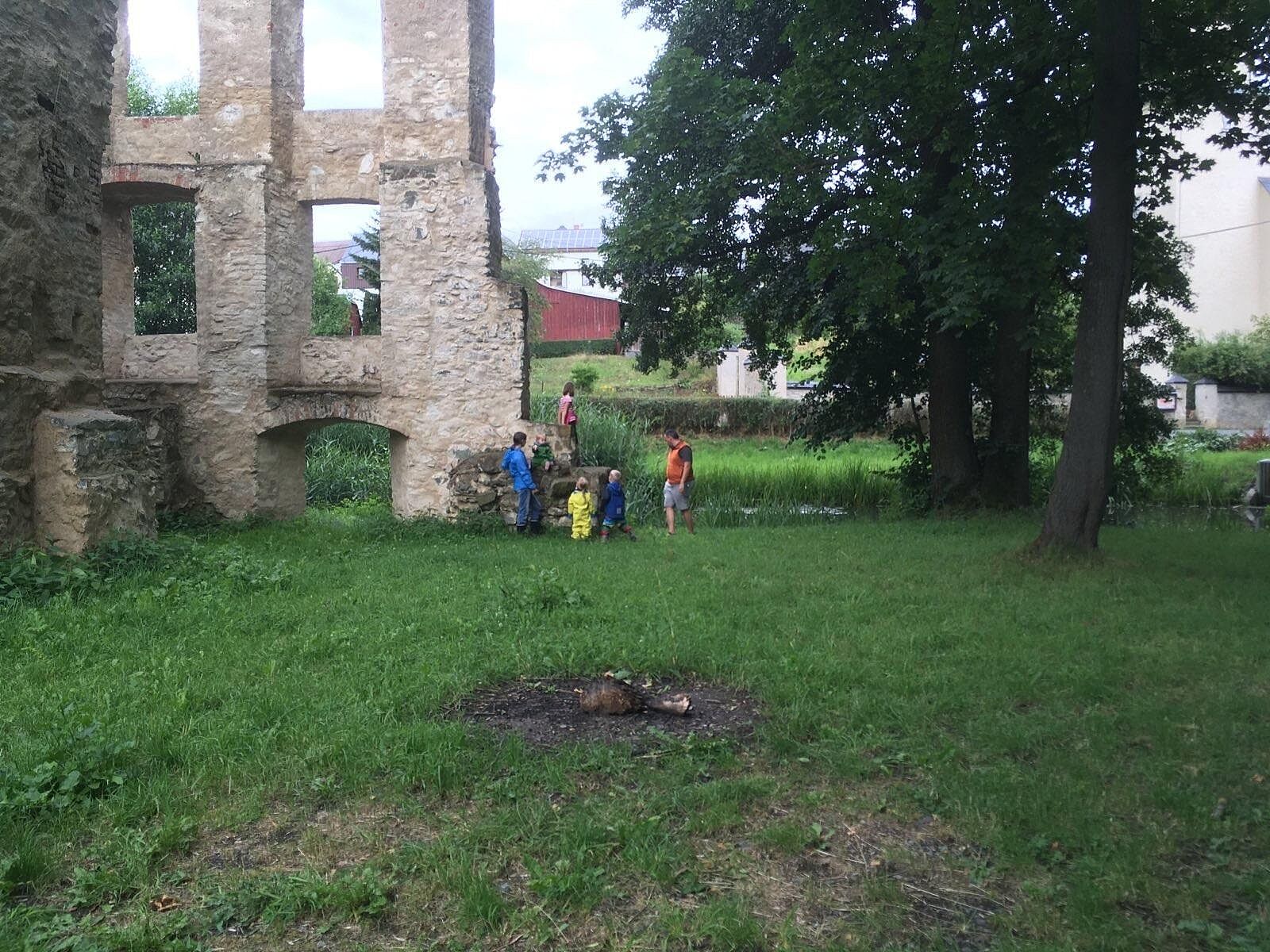 IMG-2310