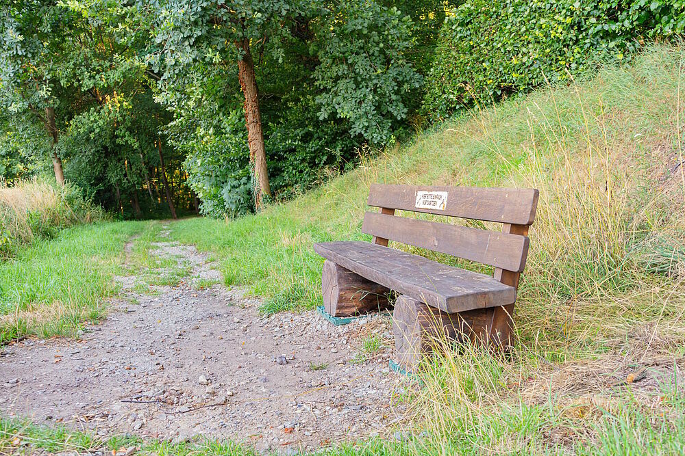 Eine Holzbank am Wegesrand (Foto von Sophia Korzen)