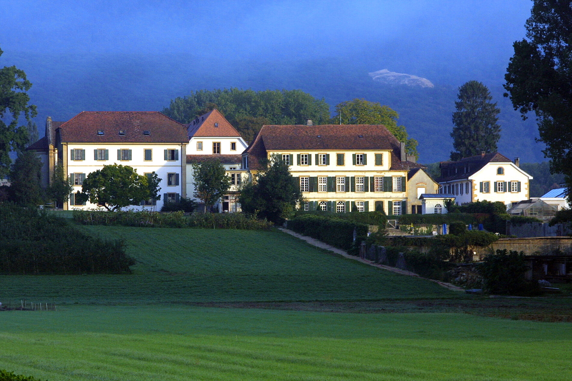 Montmirail 2005