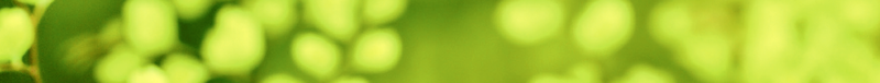 Gruen_bewegt_Dekoelement_2