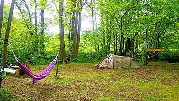 Campen_-_Waldcampen_mit_Bachgemurmel