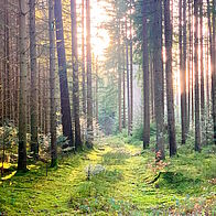 Spirituelle Wanderungen Spirituelle Wanderungen