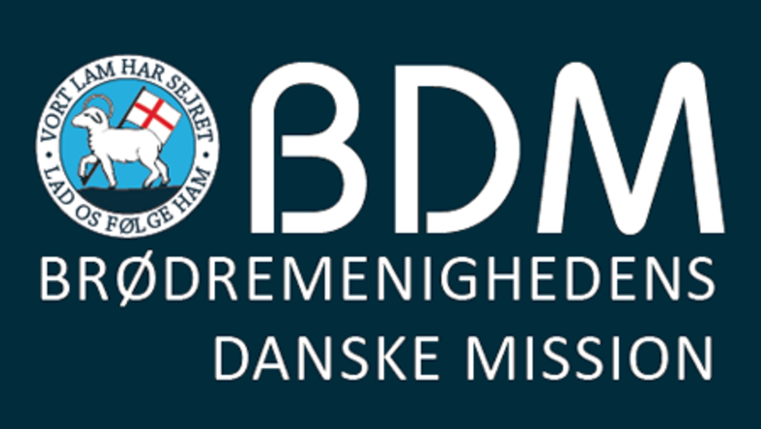 Link zu BDM