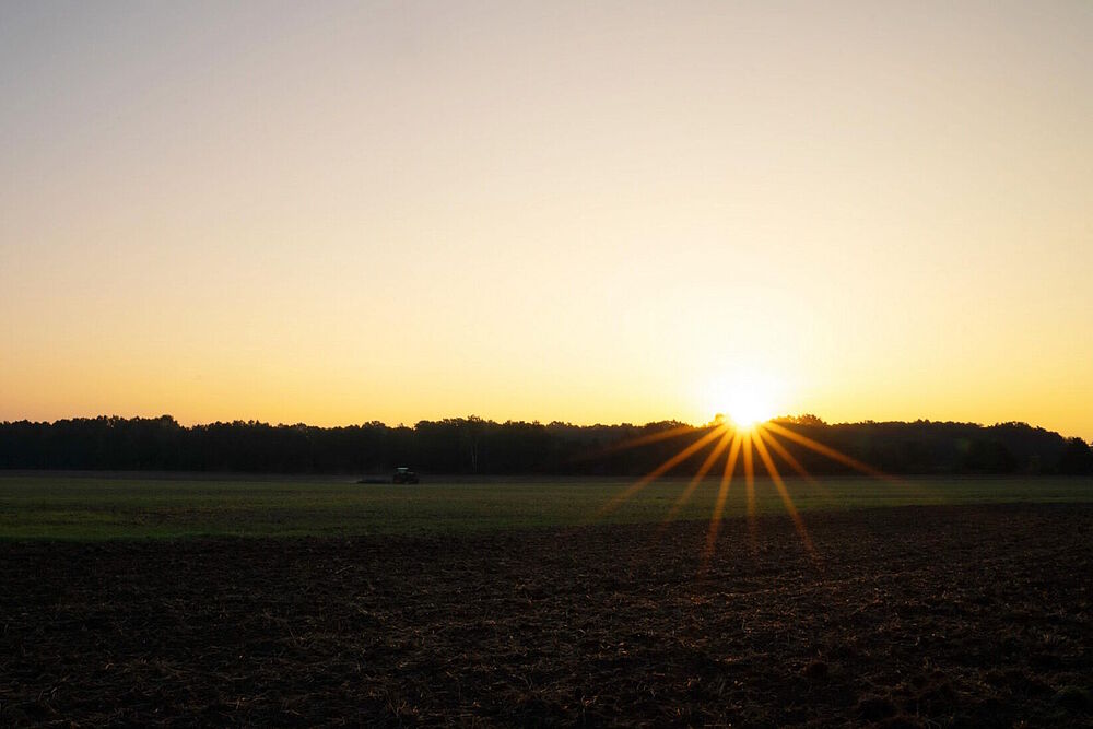 Sonnenuntergang über einem Feld, über welches ein Traktor fährt (Foto von Sophia Korzen)
