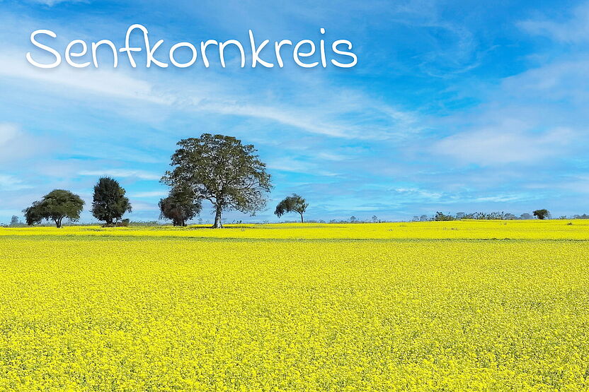 Link zum Senfkornkreis