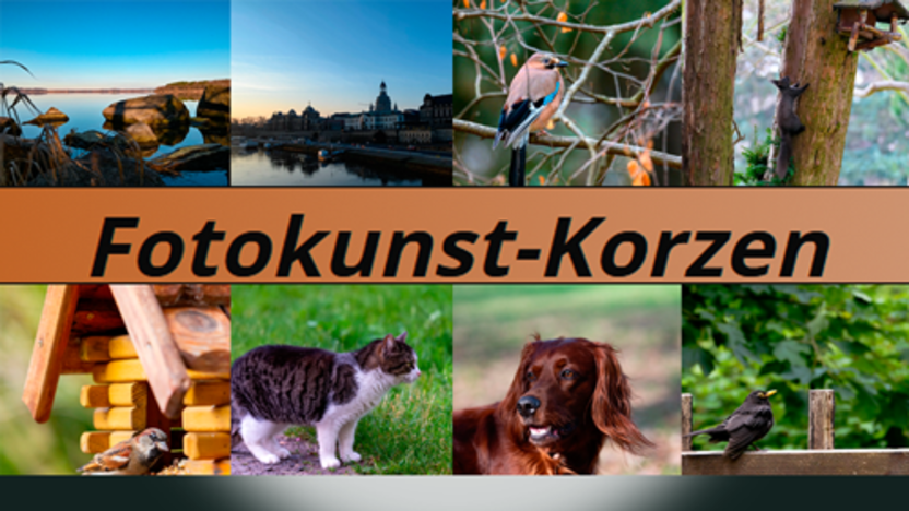 20260729_Link_Fotokunst_Korzen
