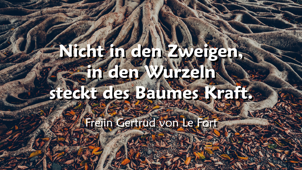 Spruch: "Nicht in den Zweigen, in den Wurzeln steckt des Baumes Kraft" von Freiin Gertrud von Le Fort; dazu im Hintergrund Baumwurzeln