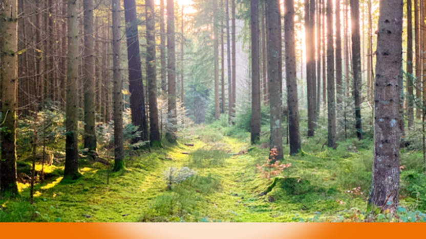 LINK_ausprobiert_spirituelle_Wanderungen