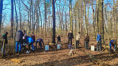 Gruppe jugendlicher Menschen, die in einem Wald Bäume pflanzen